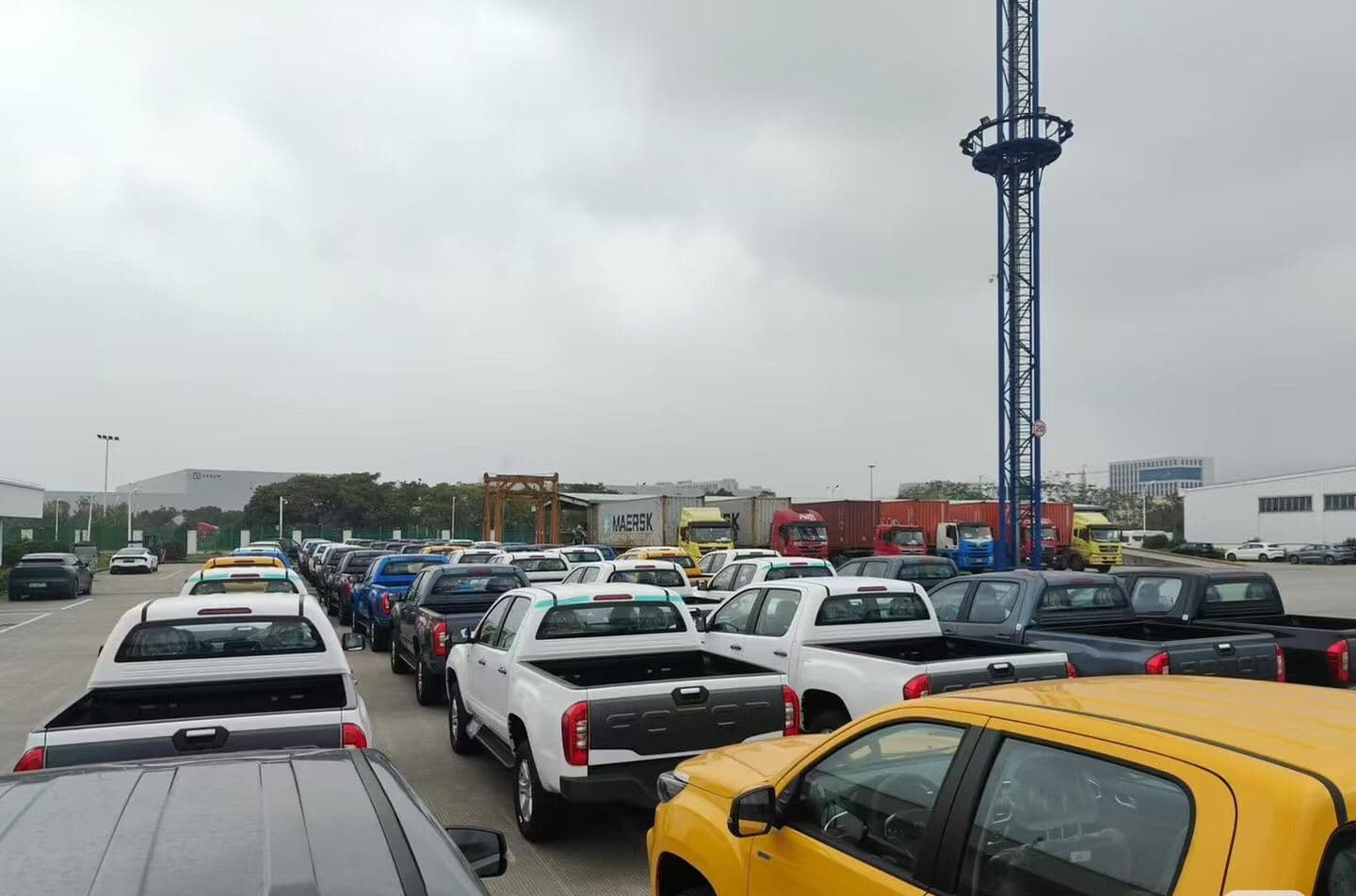 Export vehicles staged in a port yard before shipment